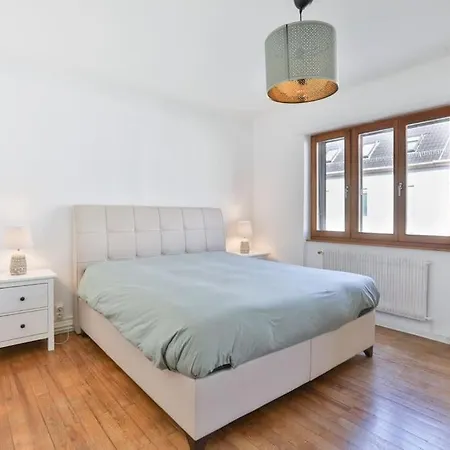 Apartment Tres Moderne Et Cosy, Proche Centre-ville, Centre Mülhausen